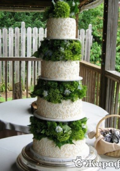 Торт на свадьбу Ж31859 - Компания Жираф