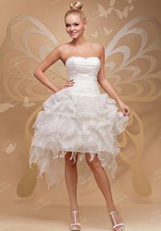 Арт. С0290-М26329