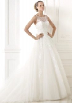 Арт. branca-D42708